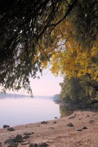 The riverside of the River Danube