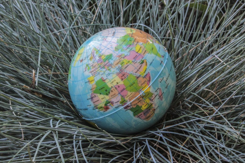 The main aim of environmental protection is to protect the Earth